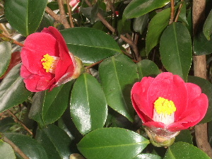a0054240_11274660.jpg