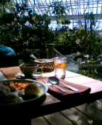 c0042941_13582.jpg