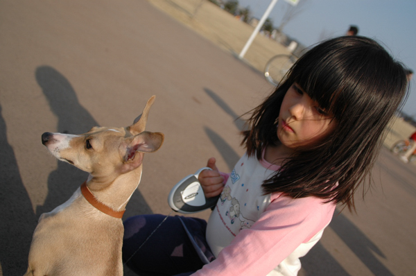 a0082146_233139.jpg
