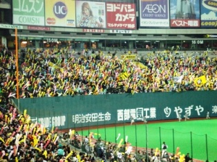 c0081552_101092.jpg