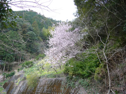f0067354_22281610.jpg