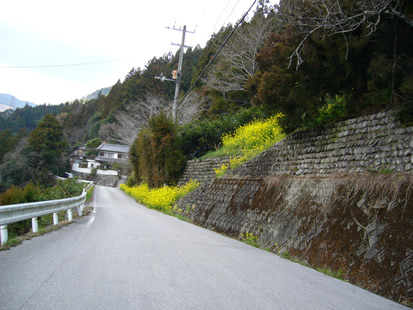 f0067354_222831.jpg
