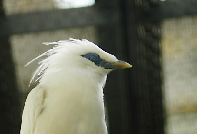 c0031856_29516.jpg