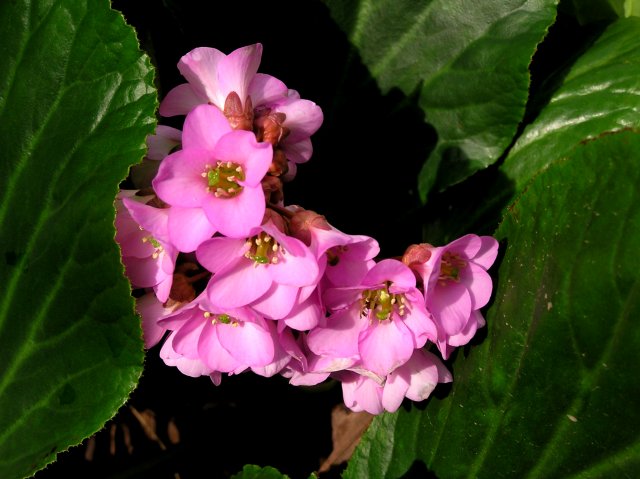 f0044056_14321984.jpg