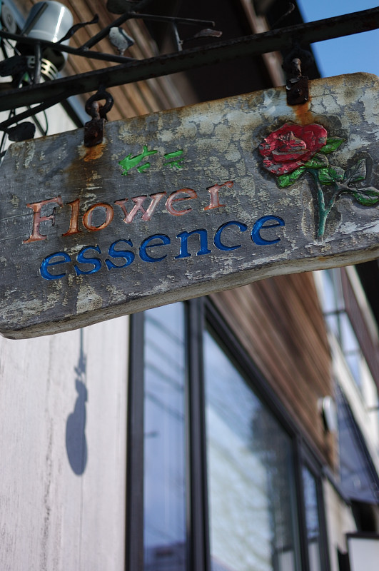 c0084666_181367.jpg