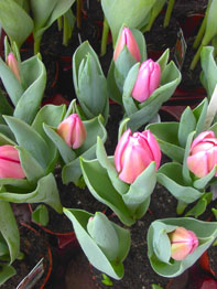 f0032969_23523349.jpg