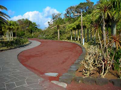 e0097770_19473524.jpg