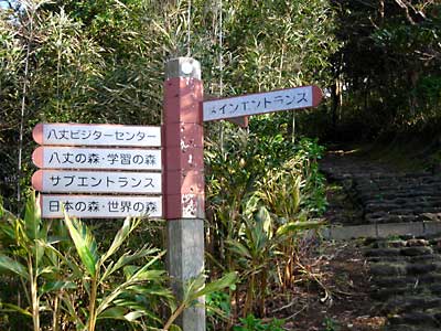 e0097770_19475390.jpg