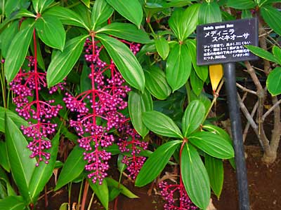 e0097770_19485819.jpg