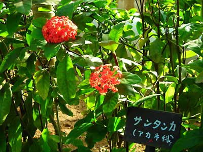 e0097770_19491293.jpg