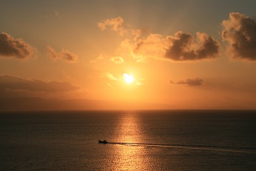 d0030373_2052929.jpg