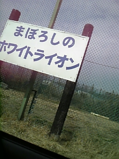 a0032384_19245775.jpg