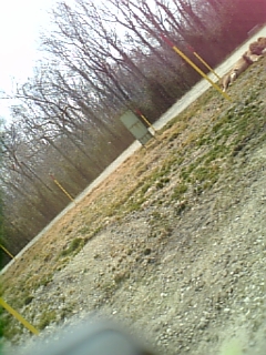 a0032384_19302991.jpg