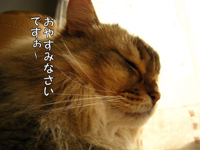 a0045990_225644.jpg