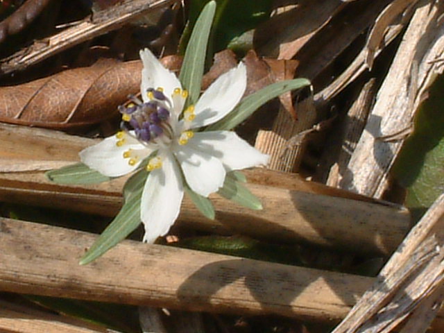 b0044296_23303065.jpg