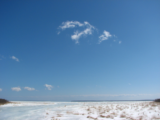 f0020302_21231617.jpg