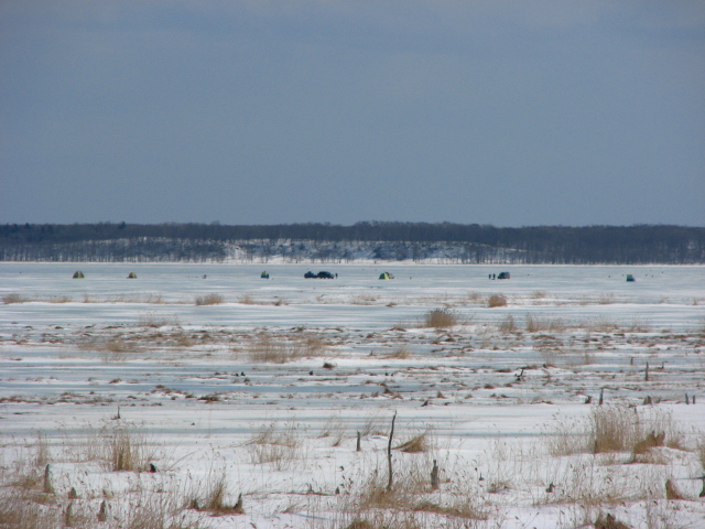 f0020302_21244546.jpg
