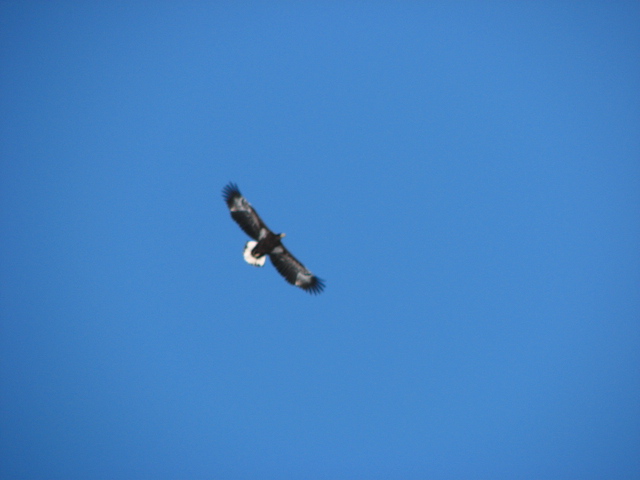 f0020302_21263312.jpg