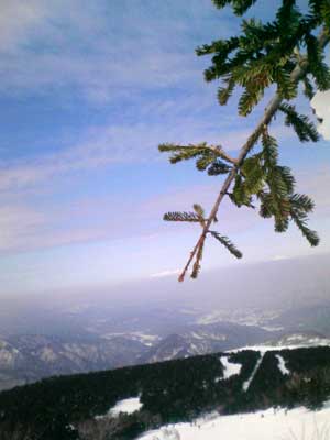 e0083204_16305969.jpg
