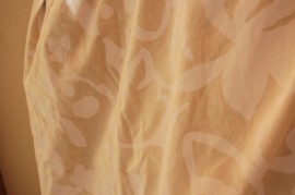f0000211_191212.jpg