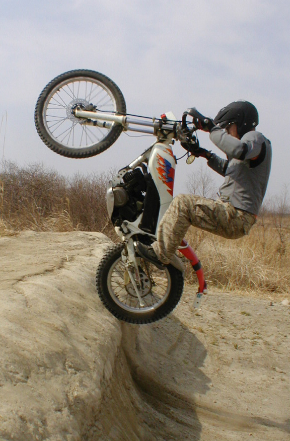 c0007818_8462770.jpg