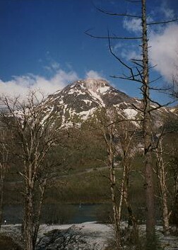 f0000521_8162361.jpg