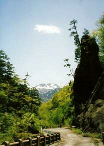 f0000521_903661.jpg