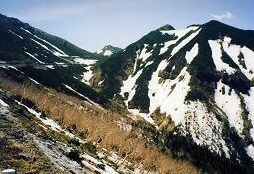 f0000521_931655.jpg