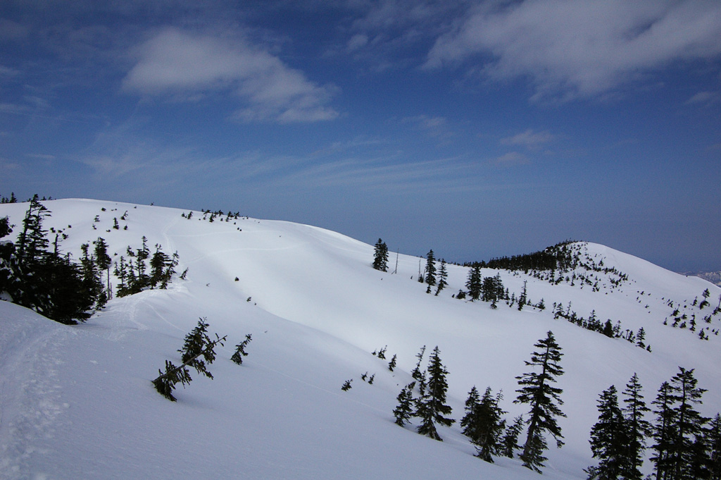 b0062024_21591927.jpg