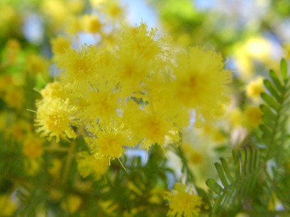 f0002833_23201016.jpg