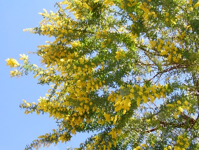 f0002833_2321397.jpg
