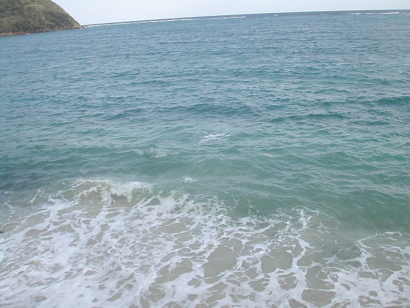e0062635_18393644.jpg