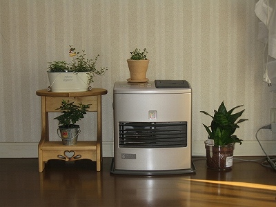 c0029442_18104746.jpg