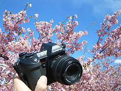 a0003746_1605315.jpg