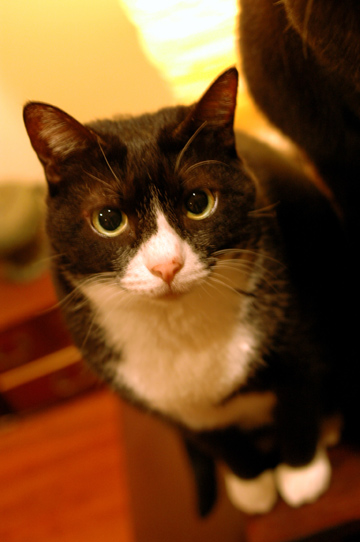 d0008146_12514083.jpg