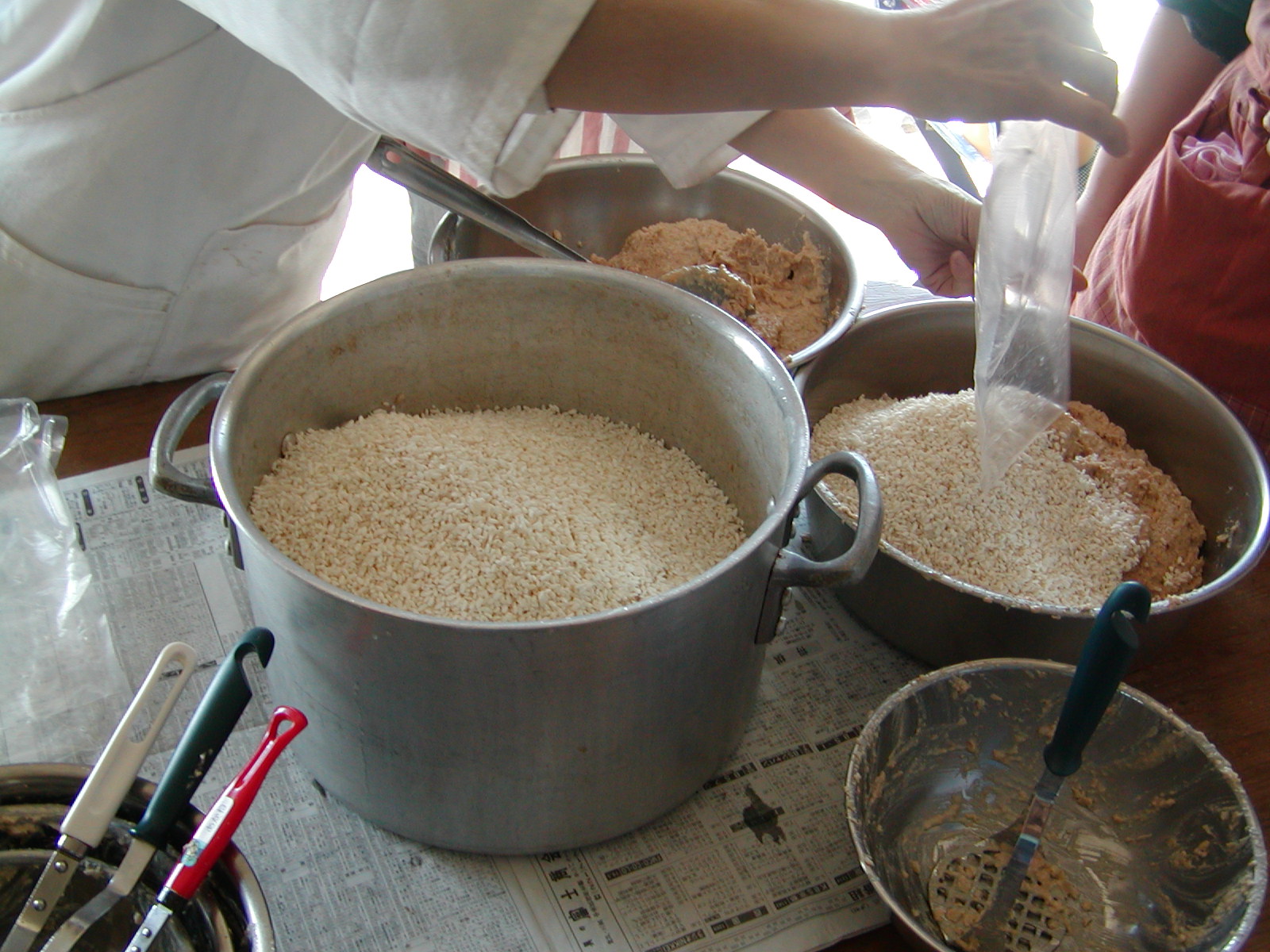 f0039446_1416622.jpg