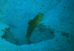 d0065247_003534.jpg