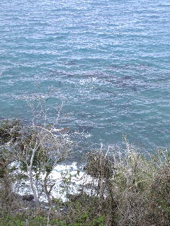 f0099147_12435070.jpg