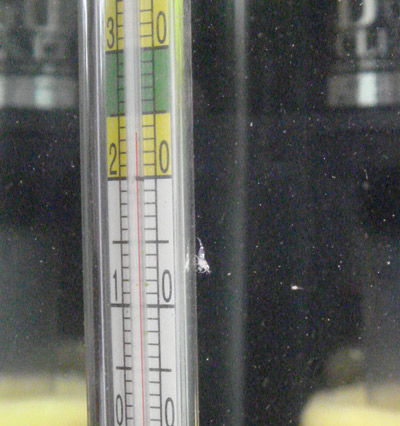 d0096356_19295824.jpg