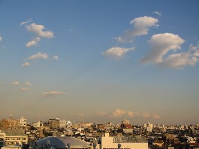 d0034659_1823370.jpg