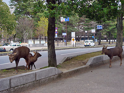 d0013068_17442666.jpg