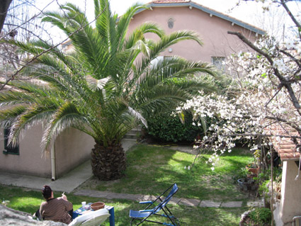 f0120569_1295761.jpg