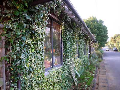 e0097770_23142276.jpg