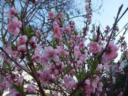 b0092475_2129911.jpg
