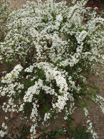 b0092475_2282521.jpg