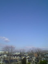 c0068783_1940216.jpg