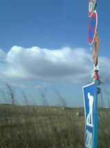 c0068783_19404528.jpg