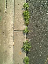 c0068783_19431340.jpg