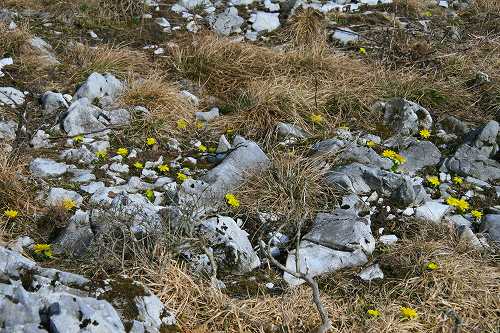 f0073587_23170100.jpg