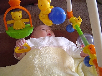 b0075888_2364727.jpg